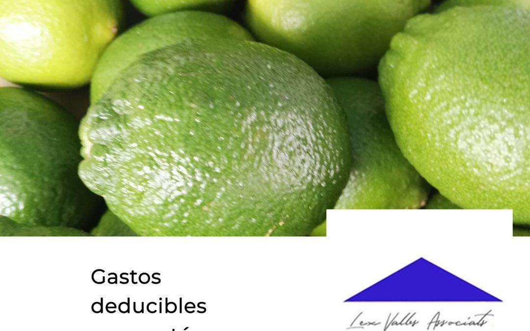 Gastos deducibles para autónomos